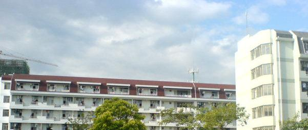 浙江育英职业技术学院单招报名时间