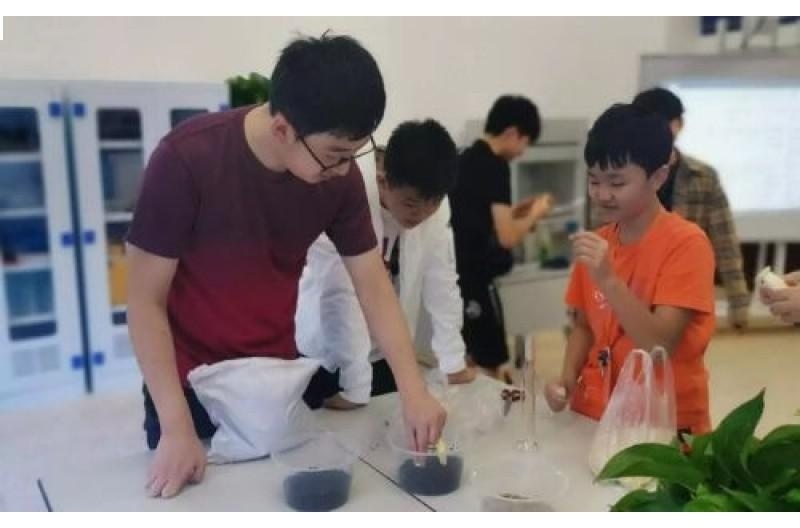 橘郡国际学校(深圳校区)