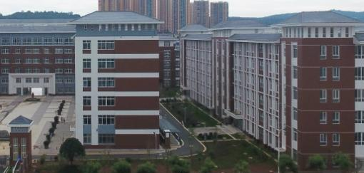 截图_20211116125650