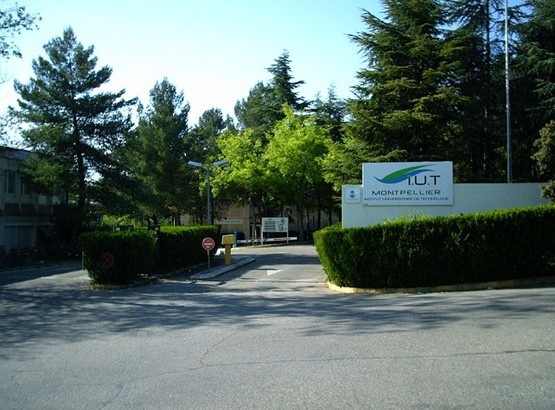 蒙波利埃第二大学