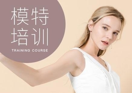 深圳礼仪模特培训学校价格