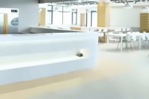 深圳市深美外籍人员子女学校国际高中HKDSE课程招生简章