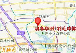 动享华羽 羽毛球体能
