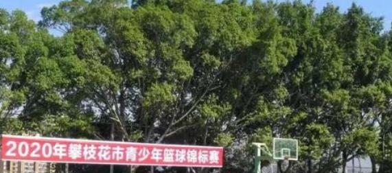 攀枝花大河中学2021年排名