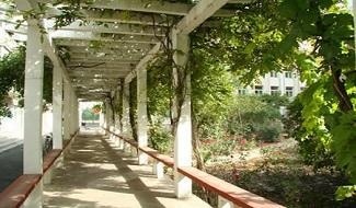 太原市第五中学国际部