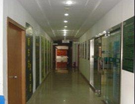 上海东方同济教育