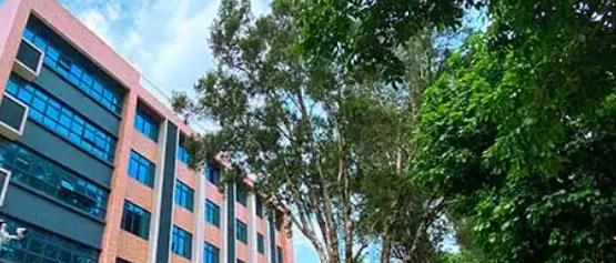 广东电子商务技师学院