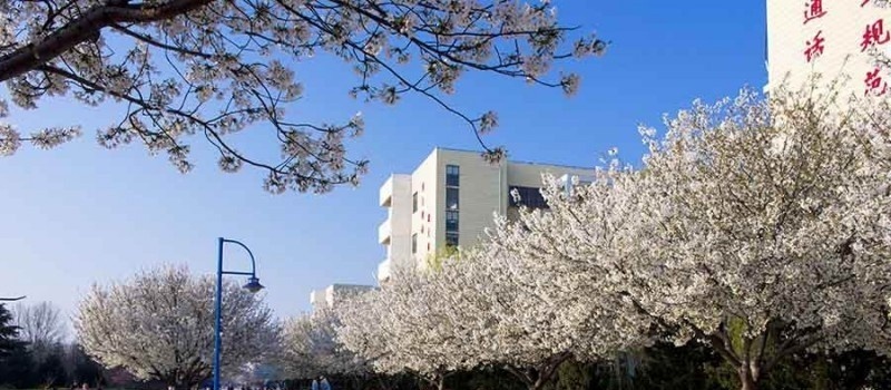 濮阳职业技术学院2019年单招录取分数线