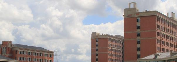 嘉兴南洋职业技术学院1