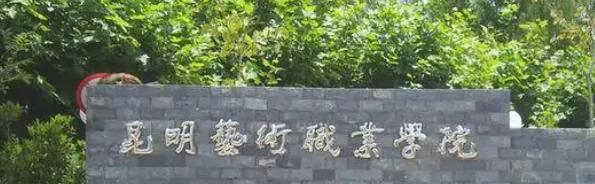 昆明艺术职业学院2022年是几专