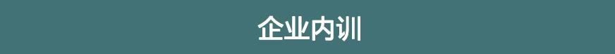 企业内训