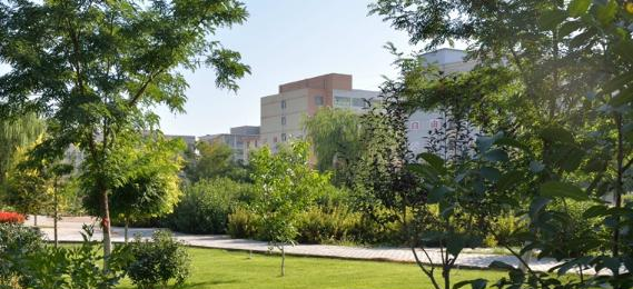 武威职业学院2020年招生办