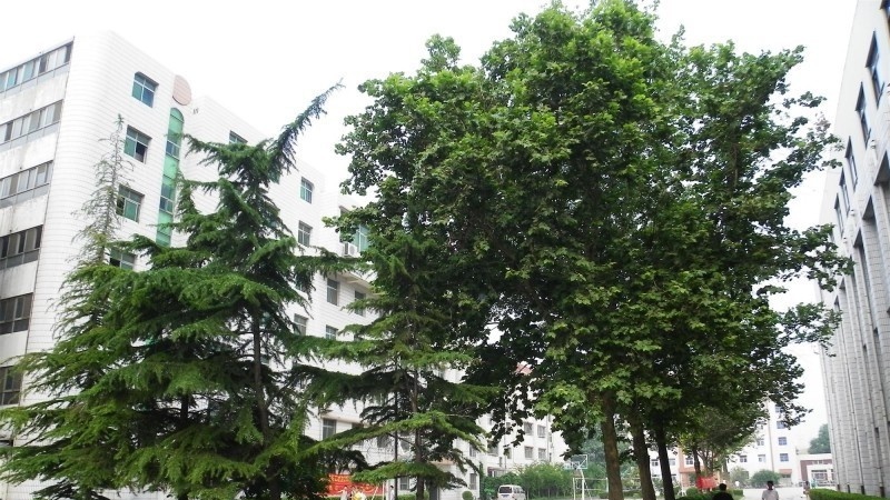 河北建筑工程学校