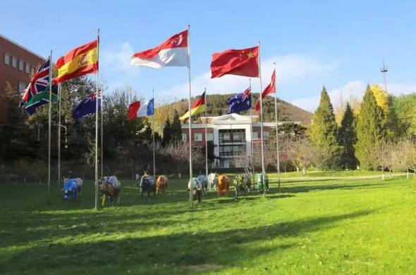 汇佳学校