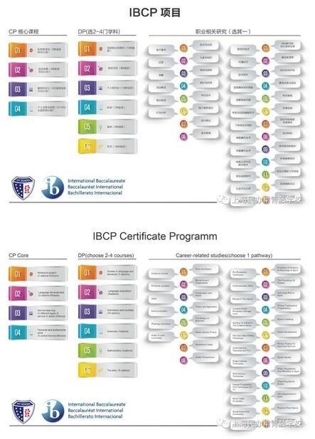 IBCP项目.jpg