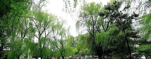 浙江机电技师学院