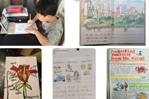 力迈中美国际学校