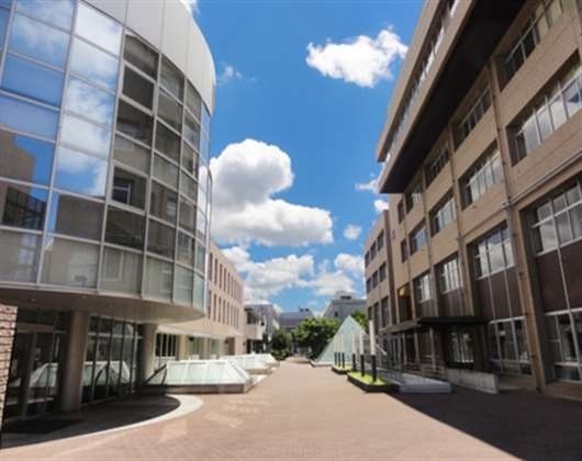 铃鹿国际大学