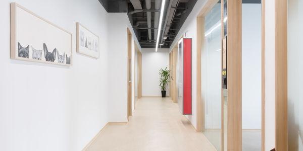 江门哪里学雅思比较好