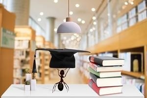 中国社会科学院在职课程班招生基本情况