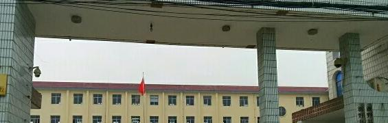 新野县中等职业学校2022年招生录取分数线