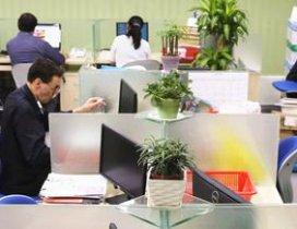 珠海平和英语村