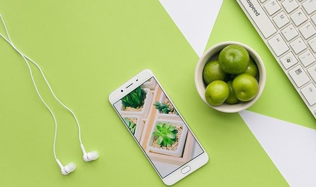 平面设计要从哪学起