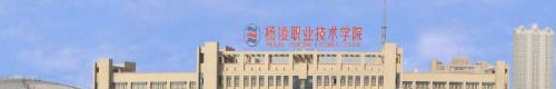 杨凌职业技术学院单招2020年单独招生录取分数线