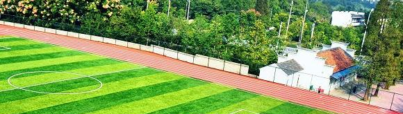 安徽林业职业技术学院2020年招生办