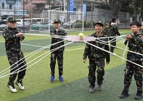 团队协作
