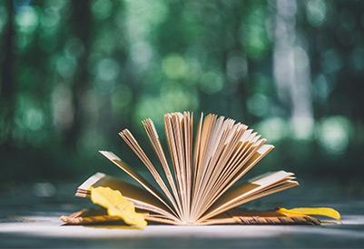 1对1专项，助你培养能力