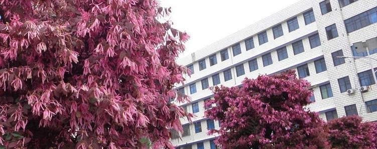 截图20200109085542