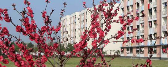 皖西卫生职业学院2021年有哪些专业