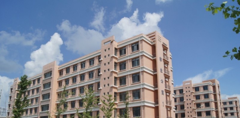 辽宁11
