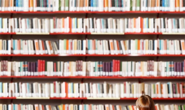 少林寺释小龙武术中等专业学校