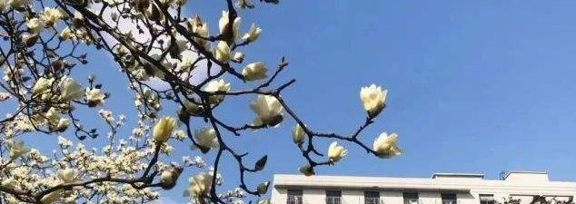 浙江工商職業(yè)技術(shù)學(xué)院