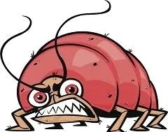 BUG的由来