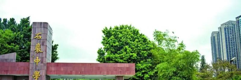  深圳石岩公学国际部高中2023年课程体系