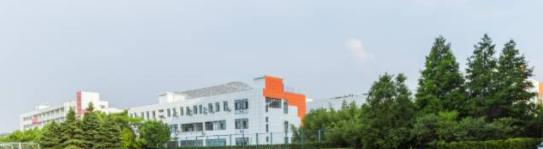 深圳青之藤国际学校2023年招生计划