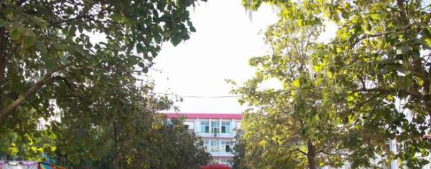 承德腾飞中等专业学校2020年招生录取分数线