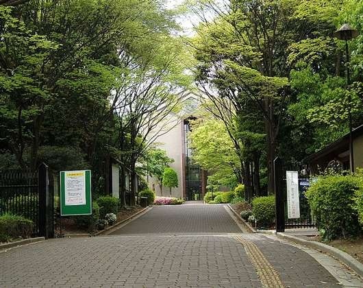 相爱大学