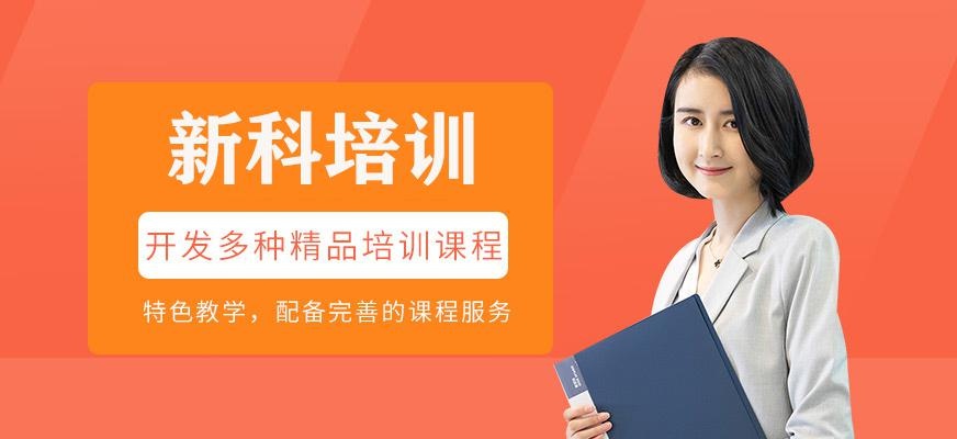 新科培训介绍