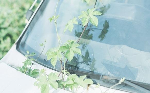 商务英语中需要注意的语句