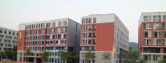 瑞得福国际学校怎么样2