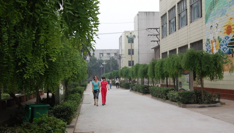 桃江县职业中专学校