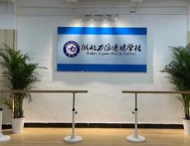 湖北力源传媒学校