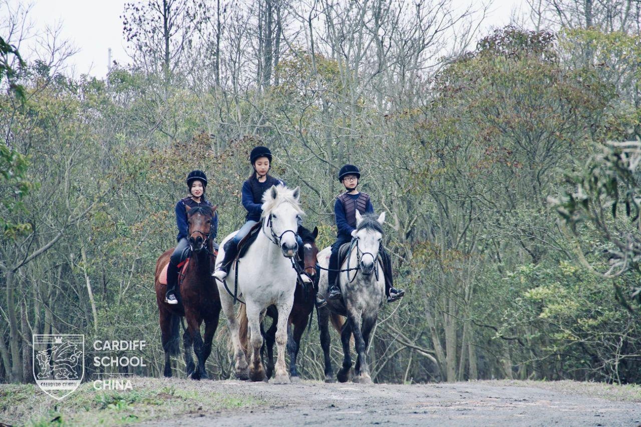 上海卡迪夫学校马术课程.jpg