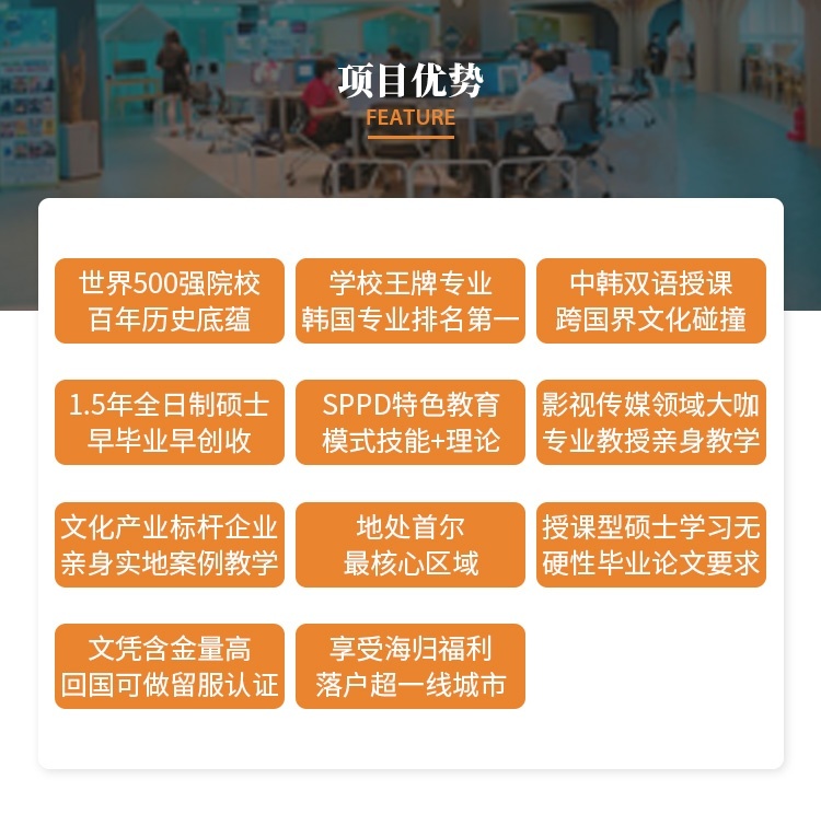项目优势