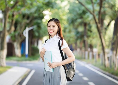 核心S1段