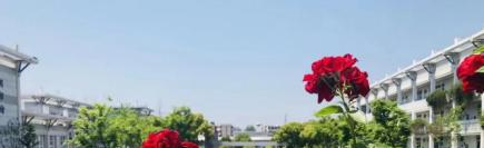南京师范大学附属实验学校国际部地址在哪里